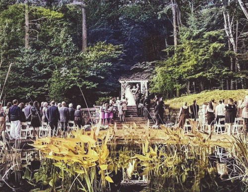 Scott and Debbie's Wedding in 1976